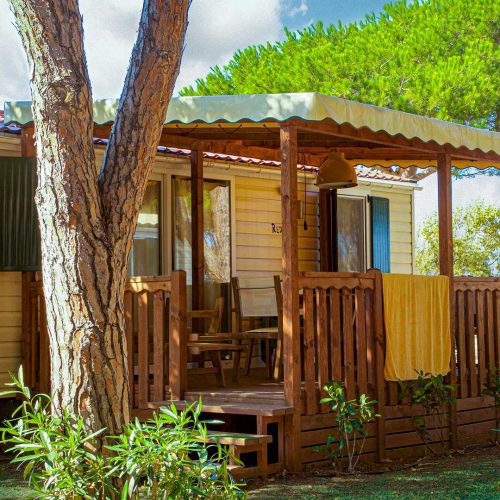 SUNLODGE REDWOOD