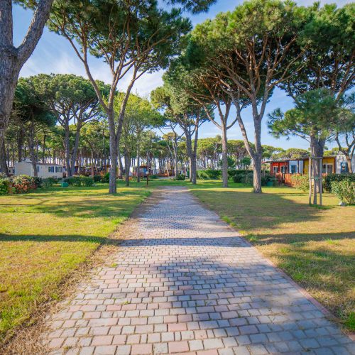 Piazzola Paradise