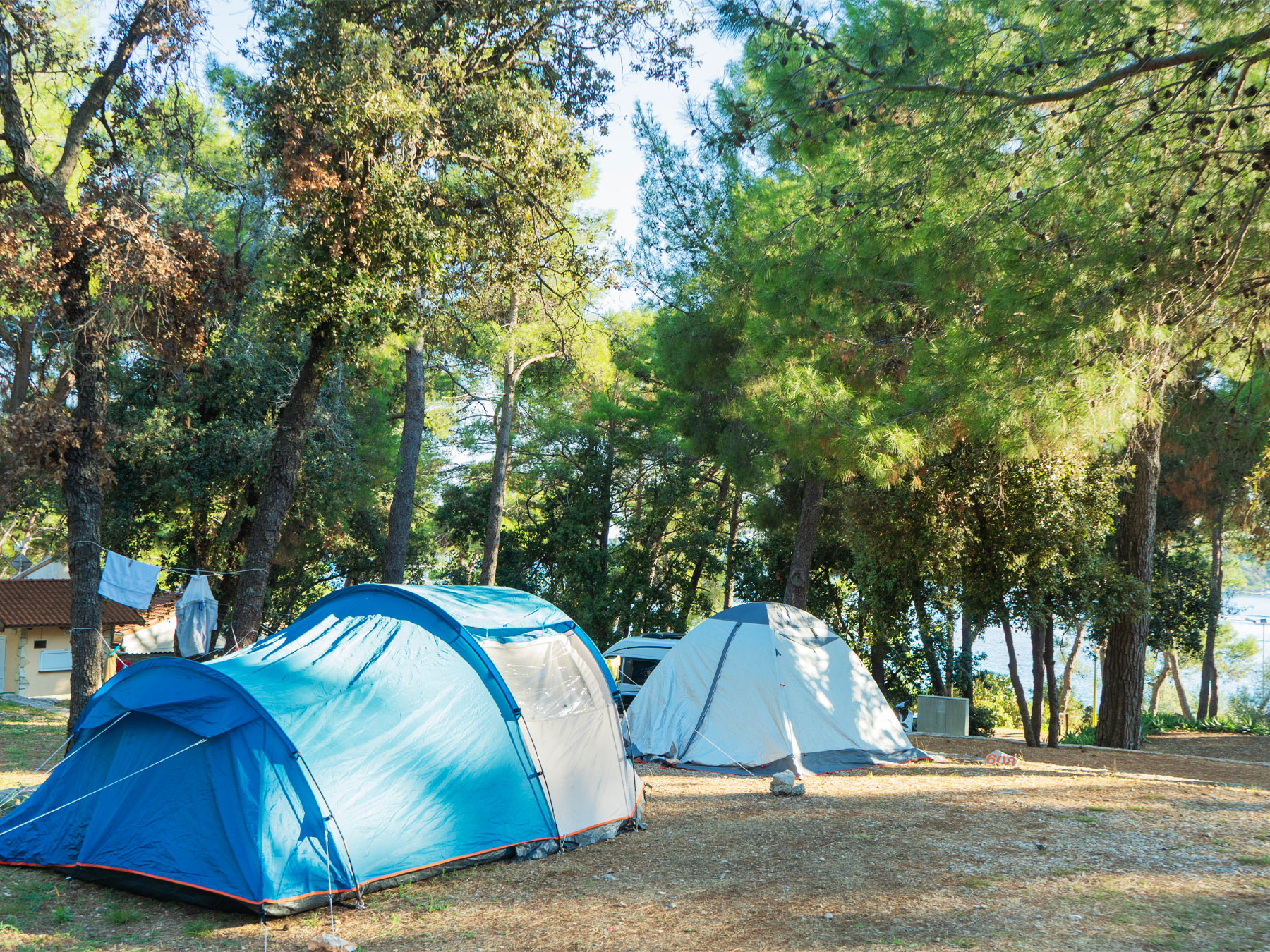 PIAZZOLA PINETAPLATZ