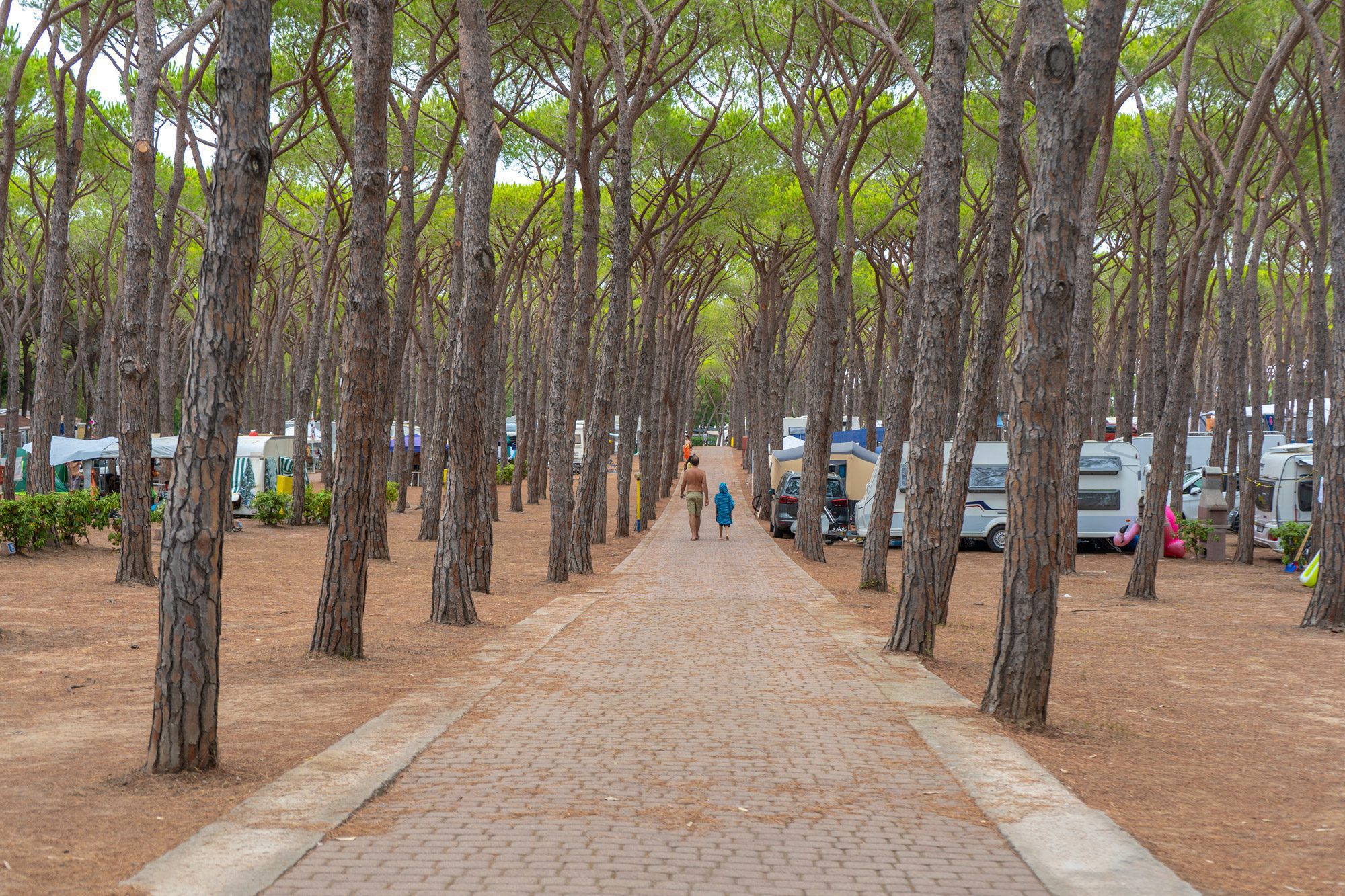 Stellplatz Pinetaplatz