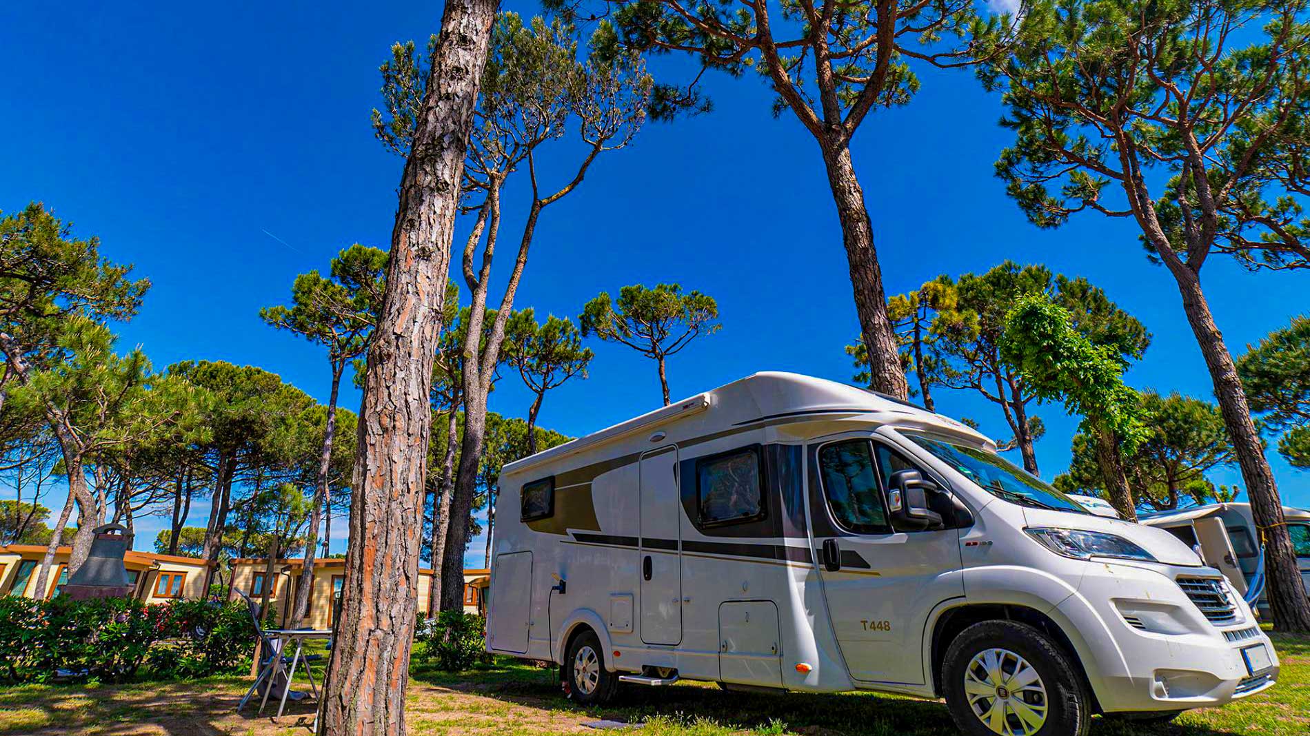 Piazzola Premium