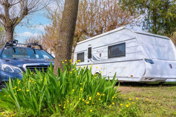 piazzola-paradise-scaled-1 piazzola-paradise-scaled-1