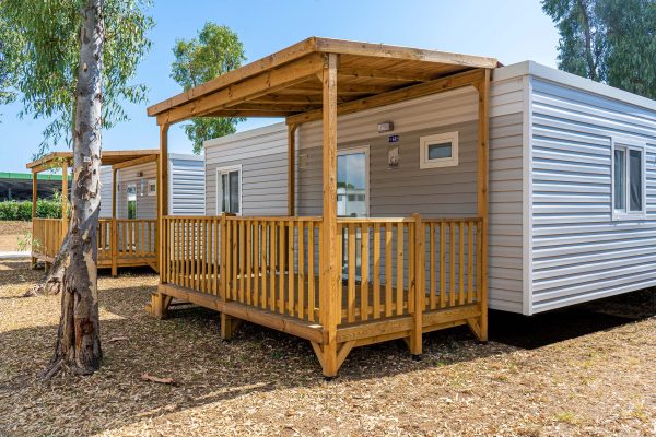 externolow externolow