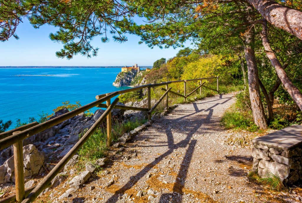 AdobeStock_179131049-mod-scaled-1