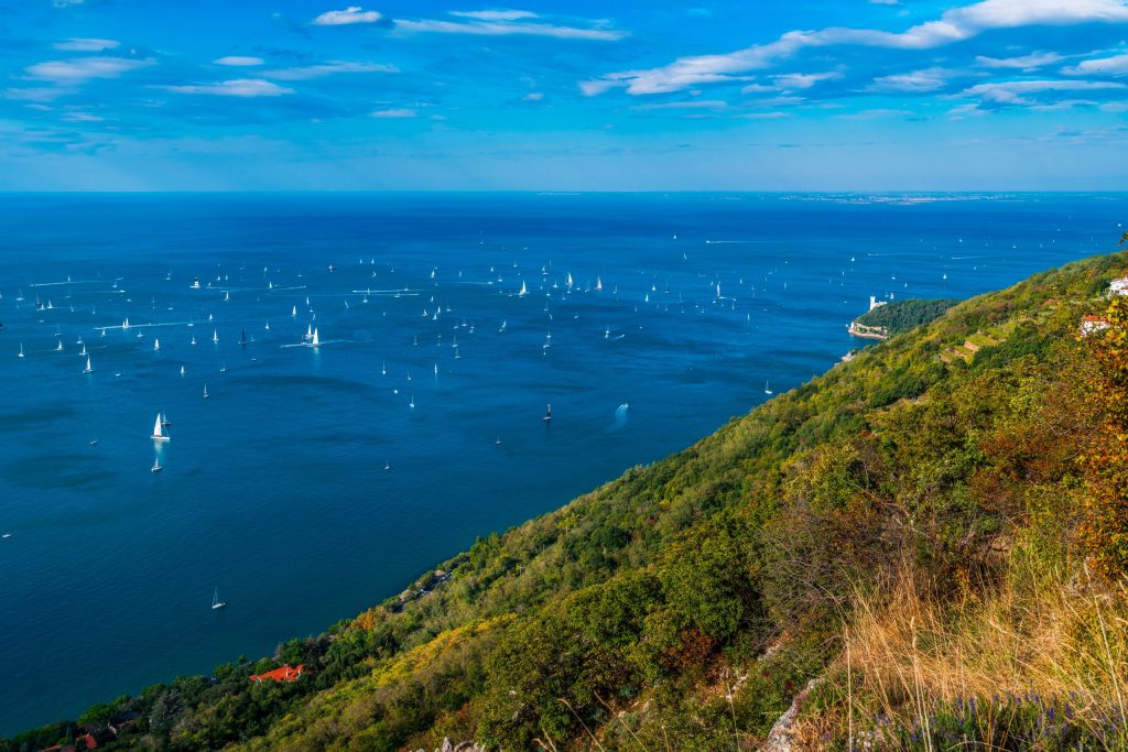 AdobeStock_513903787-scaled-1