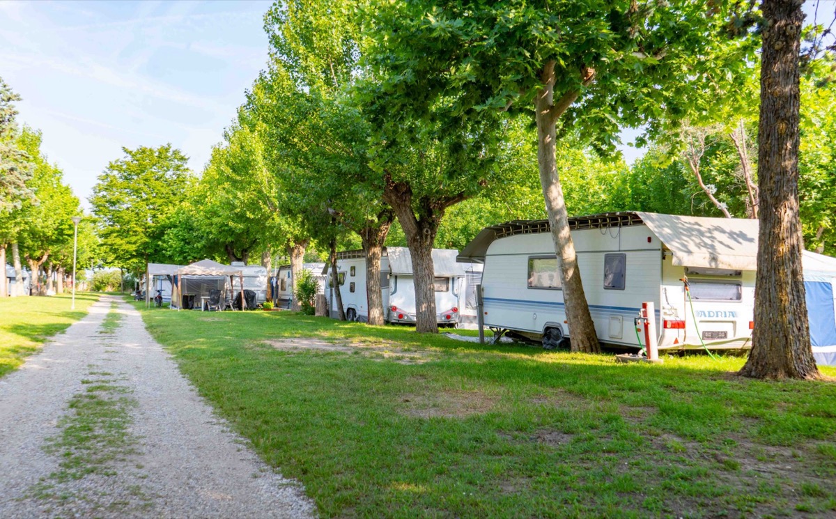 Piazzola Premium