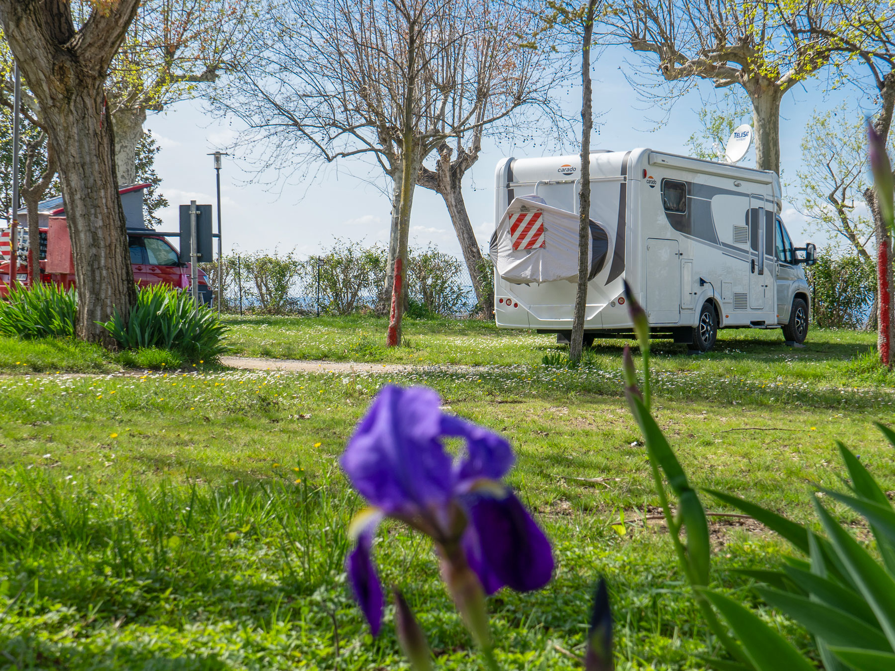 Stellplatz Paradise Plus