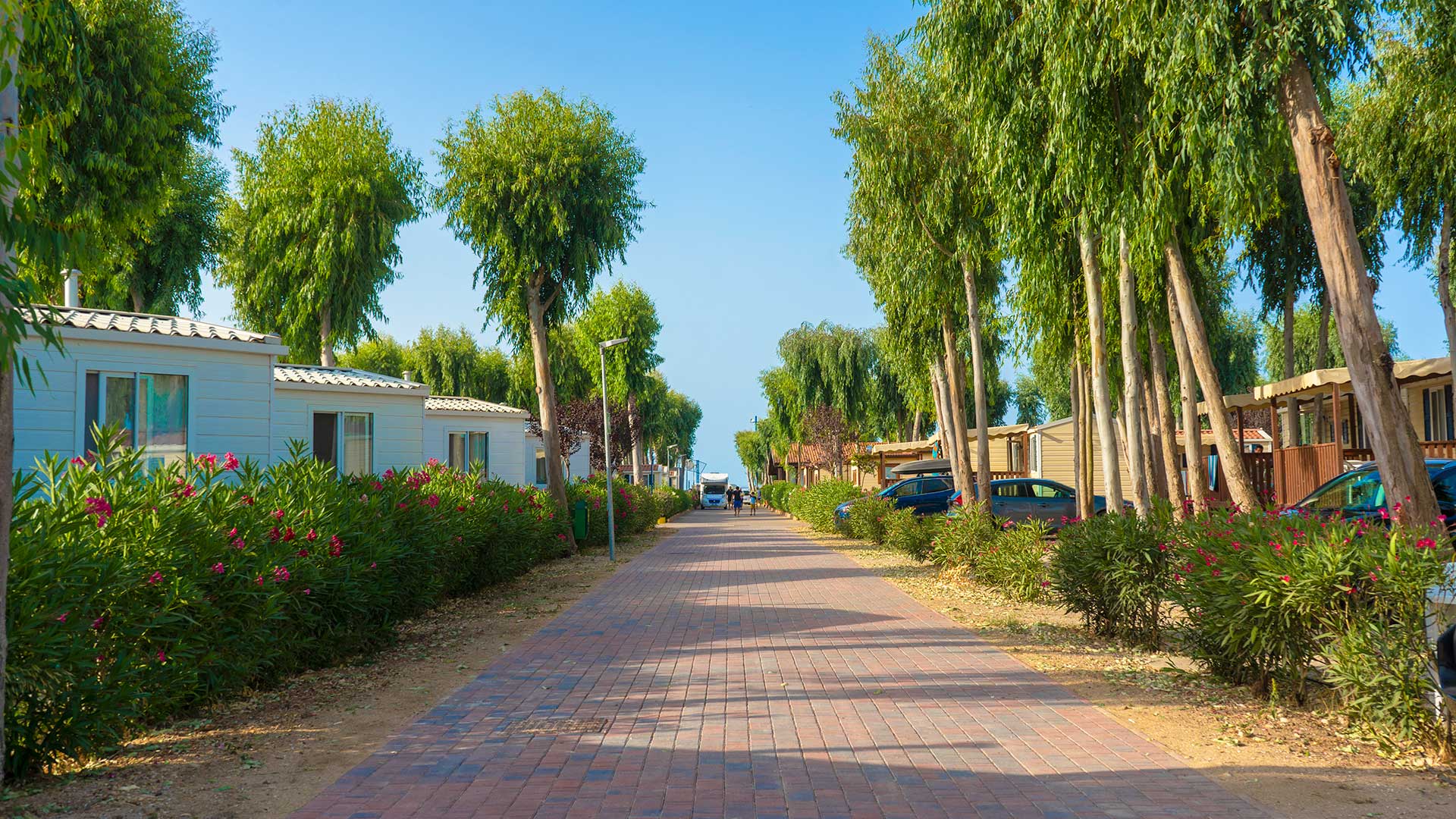 Camping Village Laguna Blu | Camping Alghero | Baia Holiday